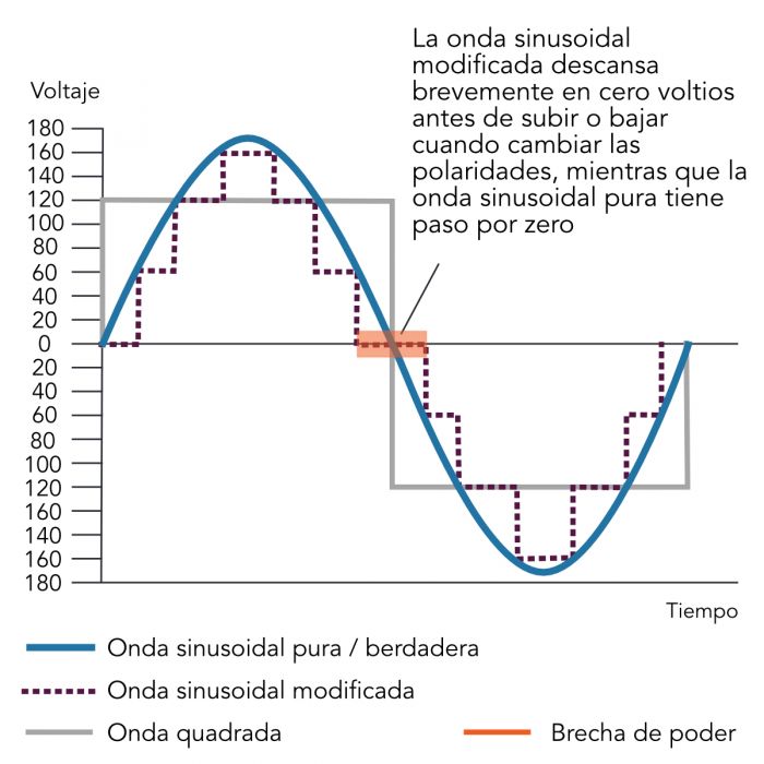 wave_forms_sp_22.08.24_3.jpg